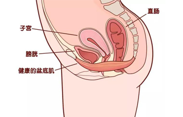 月子會所盆底肌儀器有用嗎？選擇月子會所有什么好處？